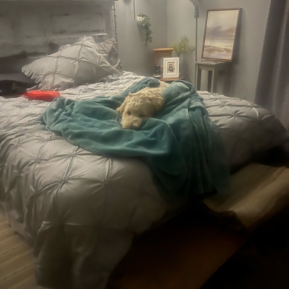 Meet your Posher, Nicole - Picture 5 of 9